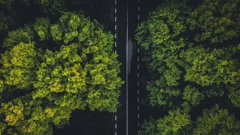 umfrage_nachhaltigkeit