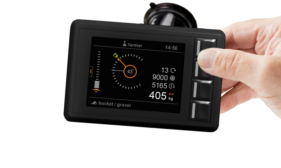 A true fellow: the Q-companion